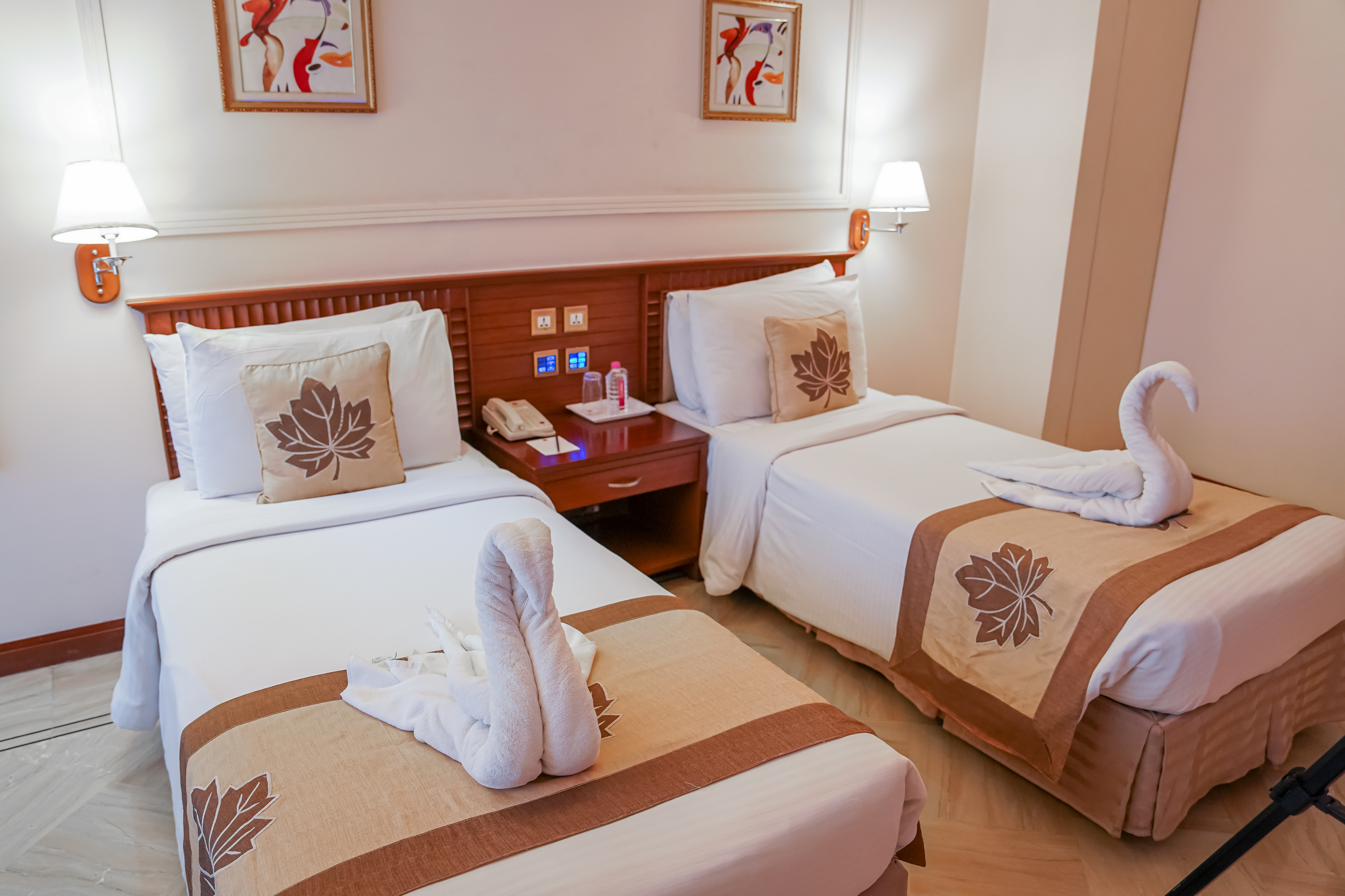 Standard Room - Modern Design